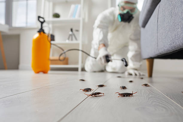 Commercial Kitchen Cockroach Control in Noblesville